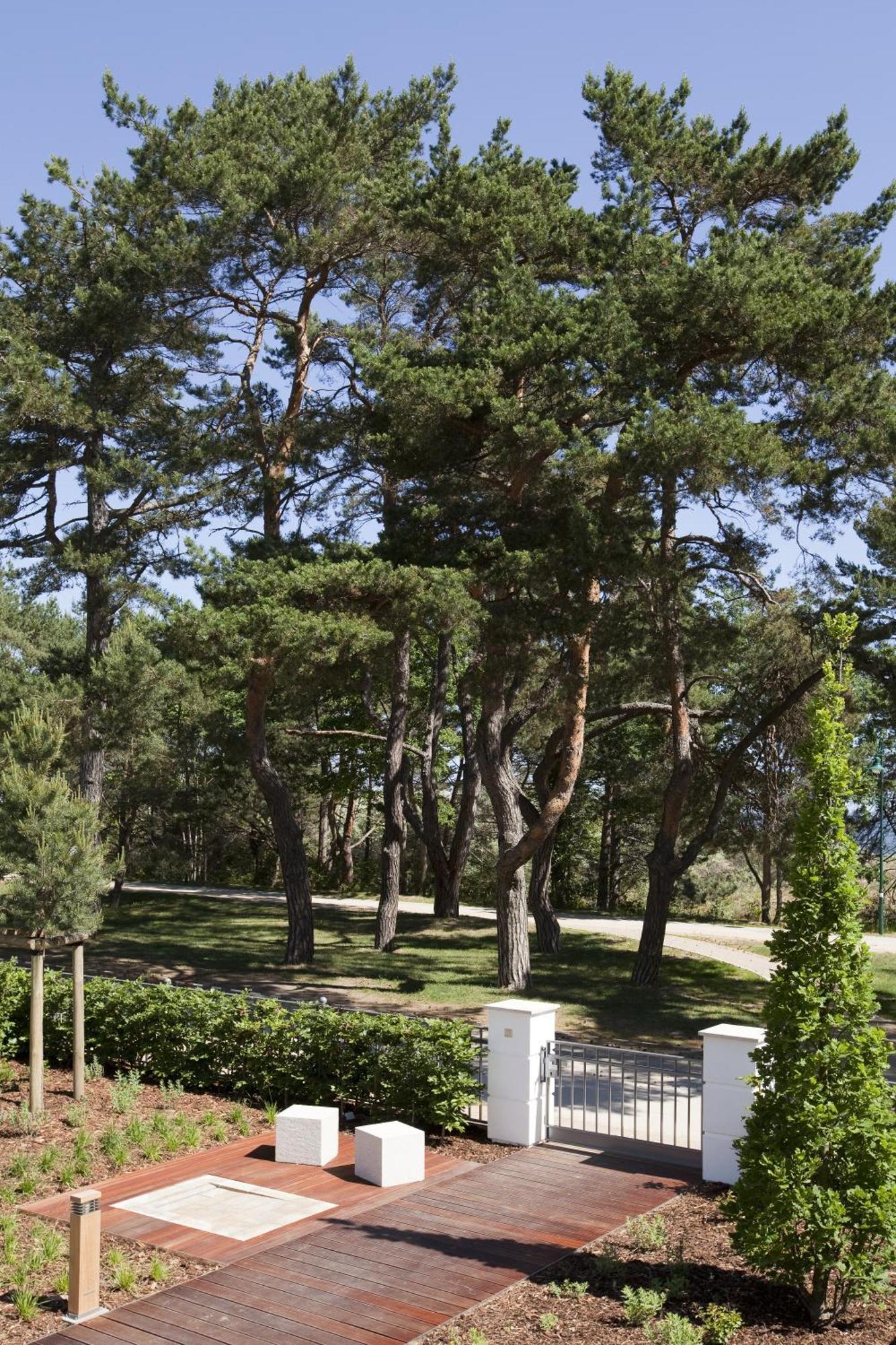 Steigenberger Grandhotel & Spa Heringsdorf Екстериор снимка Pines in the park